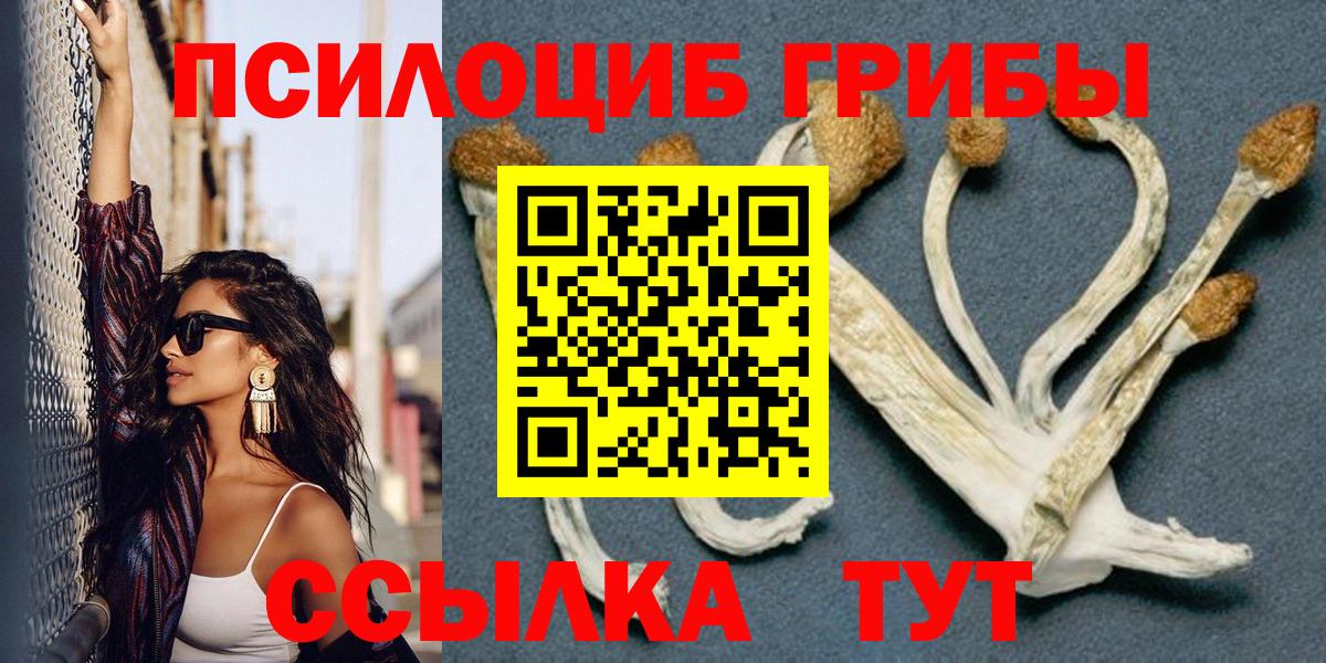 закладка  Псилоцибиновые грибы Magic Shrooms  Вход с VPN  Ангарск 
