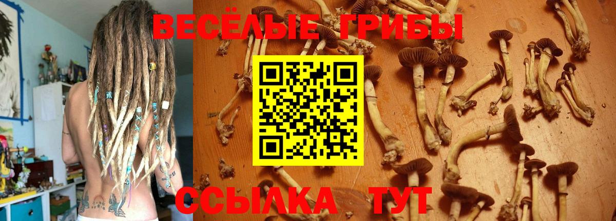 Галлюциногенные грибы мицелий Ангарск